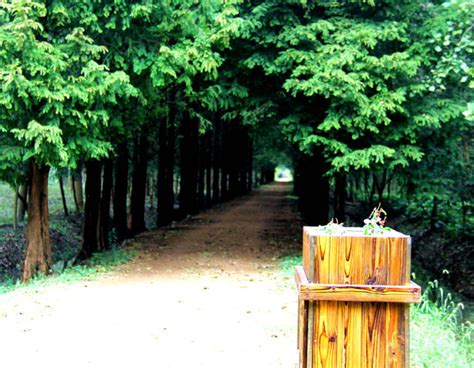 濱湖濕地公園怎麼走?公園裡有什麼鳥類可以觀賞?