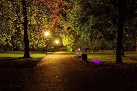 玉合公園裡的夜色如何